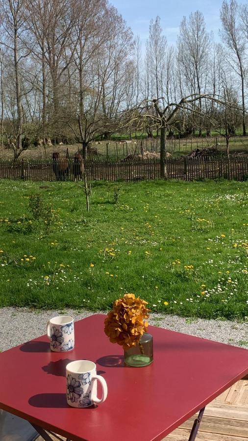 L'endroit : De Jardin Adapte Pmr 40m2 Apartment